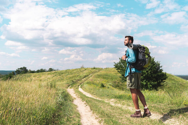 Красивый путешественник с рюкзаком ходить по зеленому лугу с красивым небом
