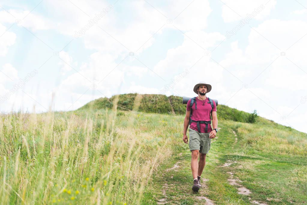 handsome hiker with backpack walking on green meadow