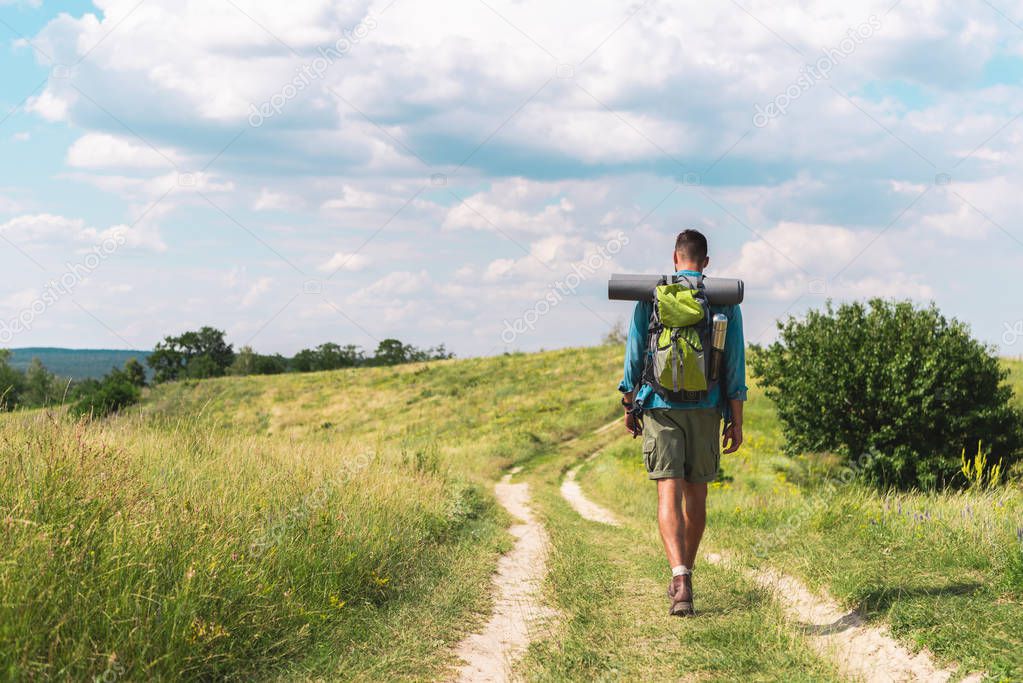 rear view of hiker with backpack walking on path on green meadow