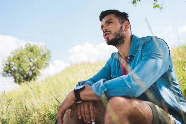 Guapo Turista Sentado Verde Verano Prado — Foto de Stock