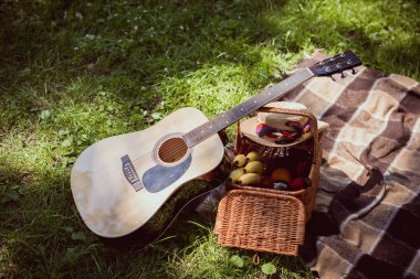sepet piknik muz ve Park akustik gitar ile için