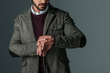 sakallı adam izle, gri izole bakarak tüvit ceketli kırpılmış görünümünü