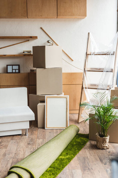 cardboard boxes, rolled carpet, green houseplant and furniture in new apartment during relocation