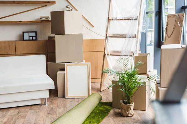 cardboard boxes, rolled carpet, green houseplant and furniture in new house during relocation