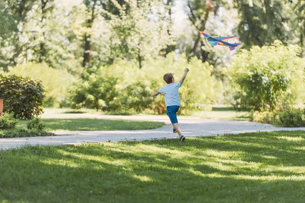 Baksidan Söt Liten Pojke Leker Med Färgglada Kite Park — Stockfoto