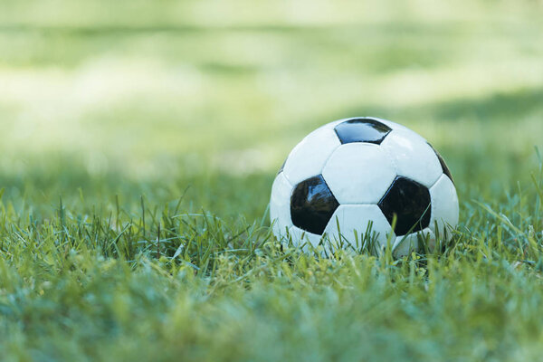 close-up view of leather soccer ball on green grass