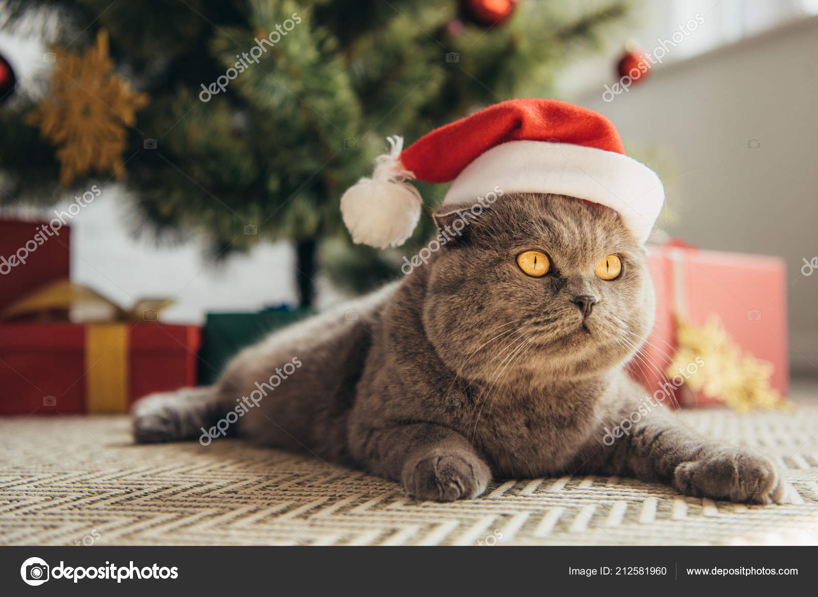 26+ Cute Christmas Animals Images Images