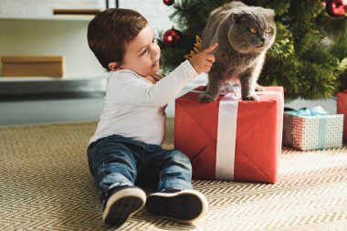 çok güzel çocuk hediye kutusu Noel ağacı yakınındaki kedi ile oynarken