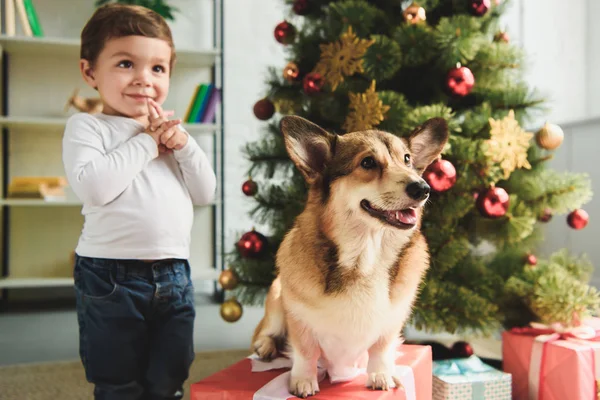 Очаровательный Счастливый Мальчик Валлийская Собака Корги Возле Рождественской Елки — стоковое фото