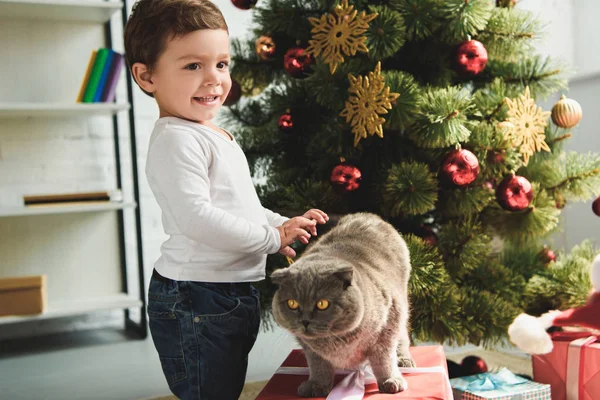 Feliz Niño Acariciando Gato Caja Regalo Cerca Árbol Navidad — Foto de Stock