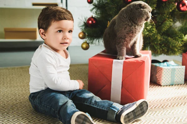 Schattig Kind Met Schotse Vouwen Kat Heden Buurt Van Kerstboom — Gratis stockfoto