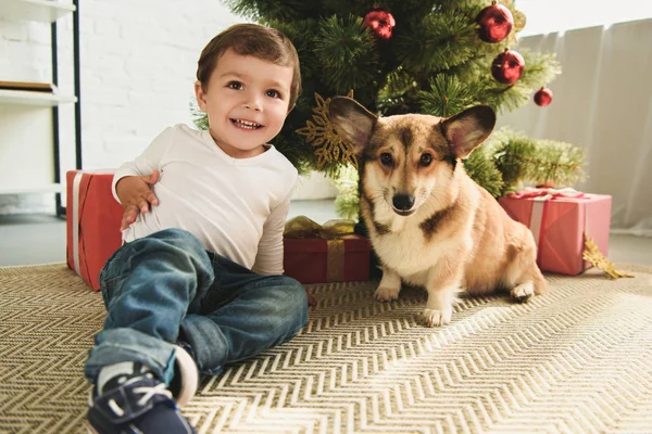 Criança Feliz Com Galês Corgi Cão Sentado Sob Árvore Natal — Fotografia de Stock