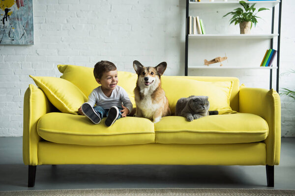 adorable boy with welsh corgi dog and scottish fold cat sitting on yellow sofa at home