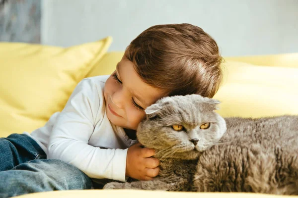 Feliz Niño Abrazando Scottish Plegable Gato Sofá Casa — Foto de Stock