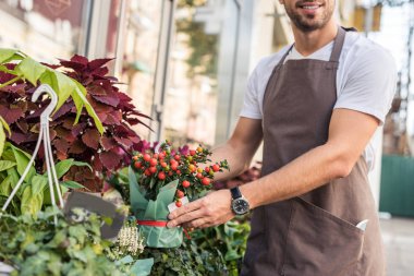 cropped image of florist taking potted plant with red berries near flower shop  clipart