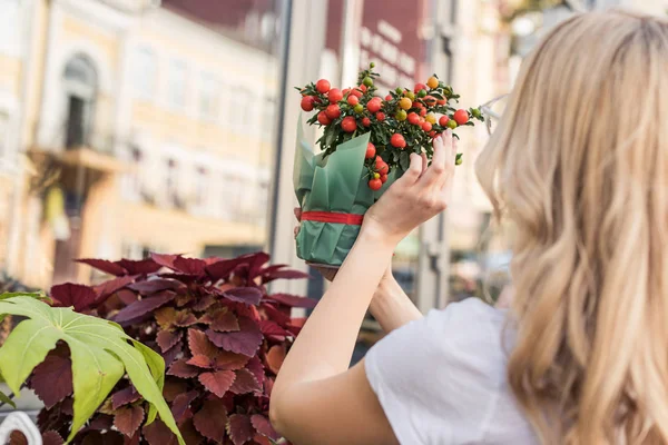Side View Florist Checking Potted Plant Flower Shop — Stock Photo, Image