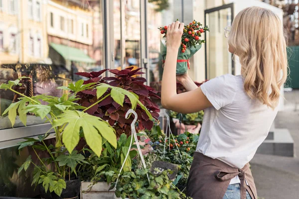 Side View Florist Checking Potted Plant Flower Shop — Free Stock Photo
