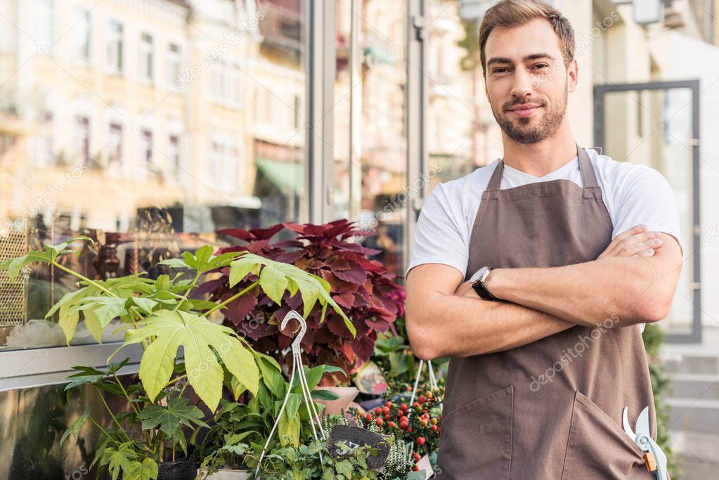 handsome florist in apron standing with crossed arms near flower shop and looking at camera