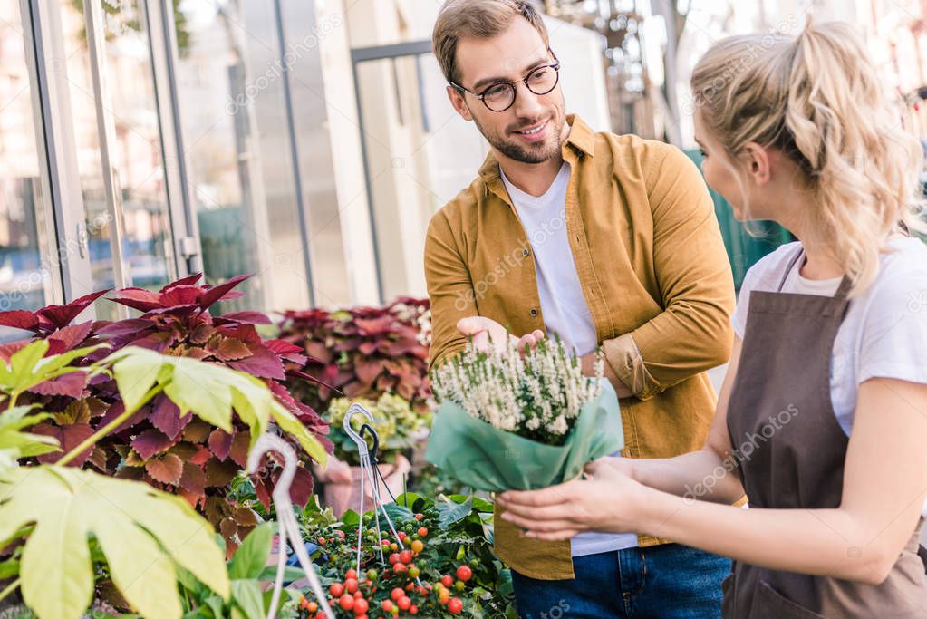 florist helping customer choosing potted plant at flower shop