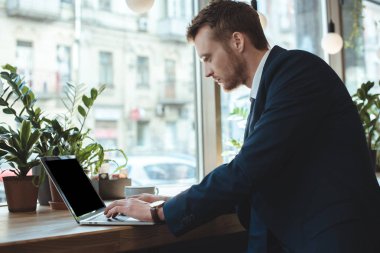 konsantre işadamı laptop ile Restoran kahve fincan masada çalışan yan görünüm