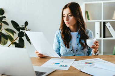 İşyerinde ofiste dizüstü bilgisayar ile evrak işi kahve ile genç iş kadını
