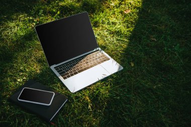 Smartphone ve Park yeşil çimenlerin üzerinde boş ekranlı laptop