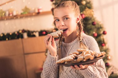 mutlu bir çocukluk geleneksel Noel zencefilli kurabiye yemek