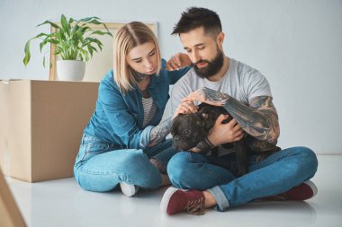 katta oturan ve yeni evdeki köpekle oynayan genç dövmeli çift