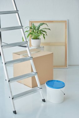 close up view of ladder, plastic bucket on paint, houseplant and cardboard box in new home clipart