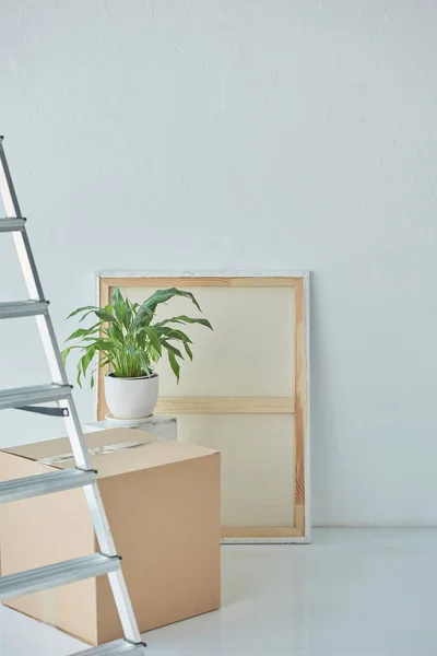 Vista Cerca Escalera Pintura Planta Interior Caja Cartón Nuevo Hogar — Foto de Stock