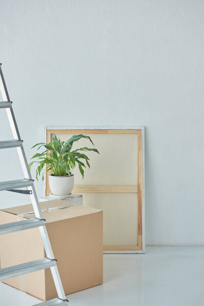 close up view of ladder, painting, houseplant and cardboard box in new home