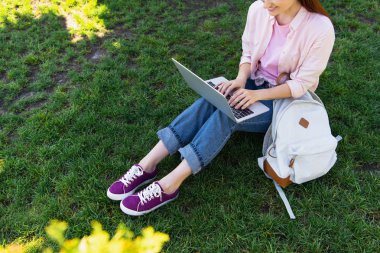 Freelancer Park yeşil çimenlerin üzerinde dizüstü kullanarak kırpılmış görüntü 