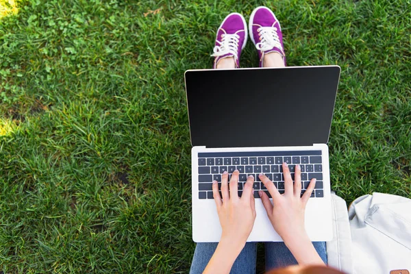 Cropped Image Freelancer Using Laptop Blank Screen Park — Stock Photo, Image