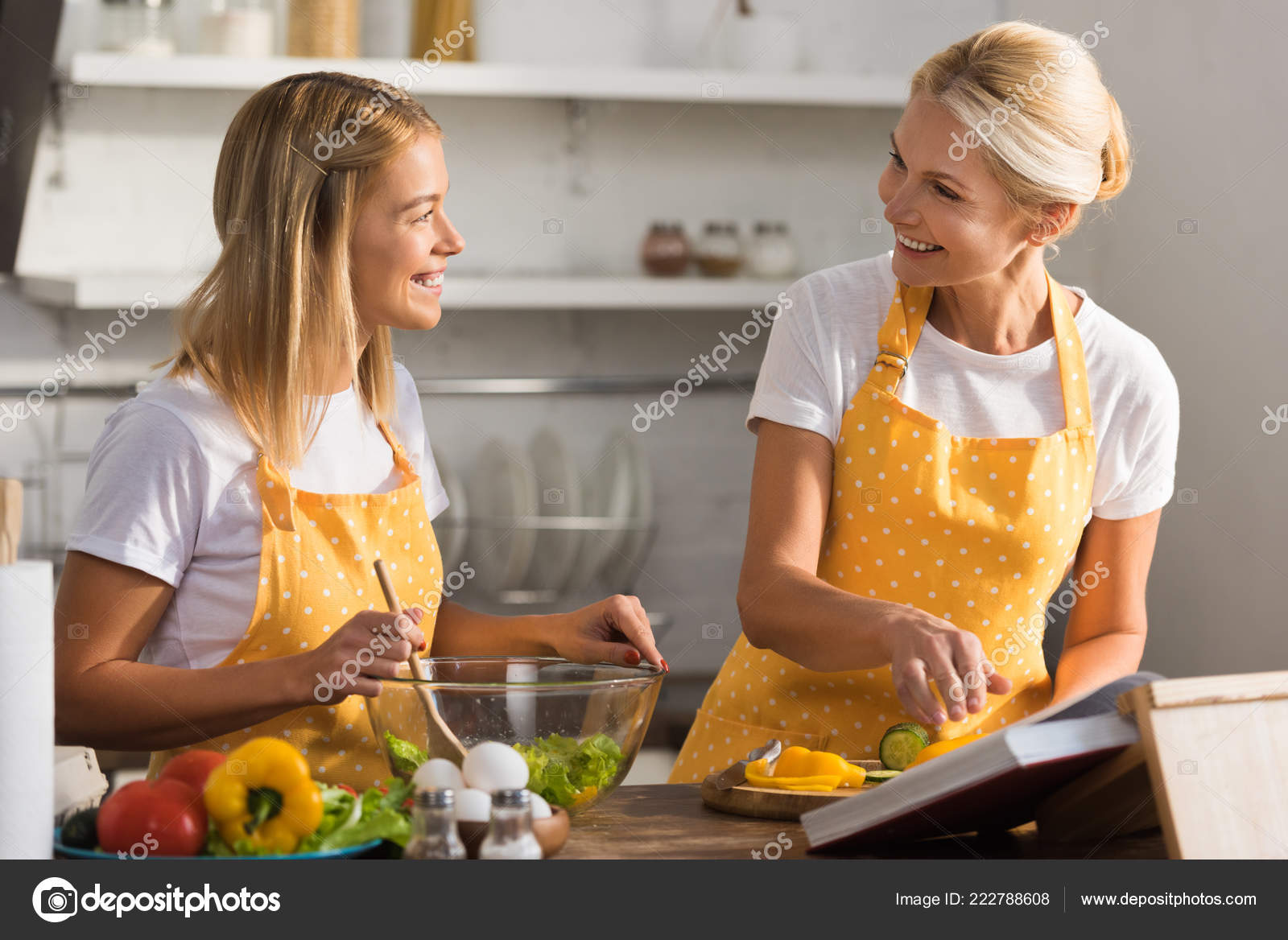 Happy Adult Mother Daughter Aprons Smiling Each Other While Cooking Stock  Photo by ©AllaSerebrina 222788608