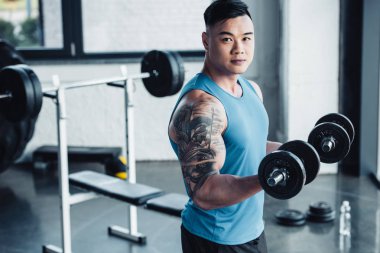 Genç Asyalı sporcu spor salonunda dumbbells ile egzersiz ve kameraya bakarak konsantre