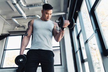 genç sporcu spor salonunda dumbbells ile egzersiz konsantre