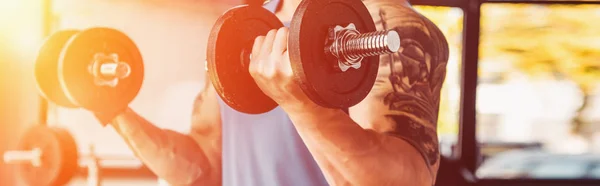 Cropped View Sportsman Exercising Dumbbells Gym Sunlight — Stock Photo, Image