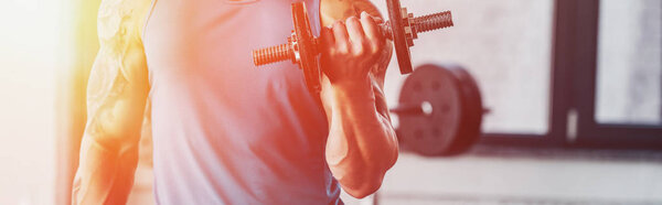 частичный вид спортсмена, занимающегося с гантелями в тренажерном зале при солнечном свете
