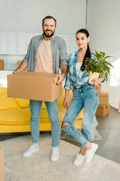 Husband Carrying Cardboard Box Wife Holding Green Plant While Packing — Stock Photo, Image