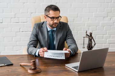 Sözleşme tutarak ve office içinde laptop bakarak ciddi erkek avukat