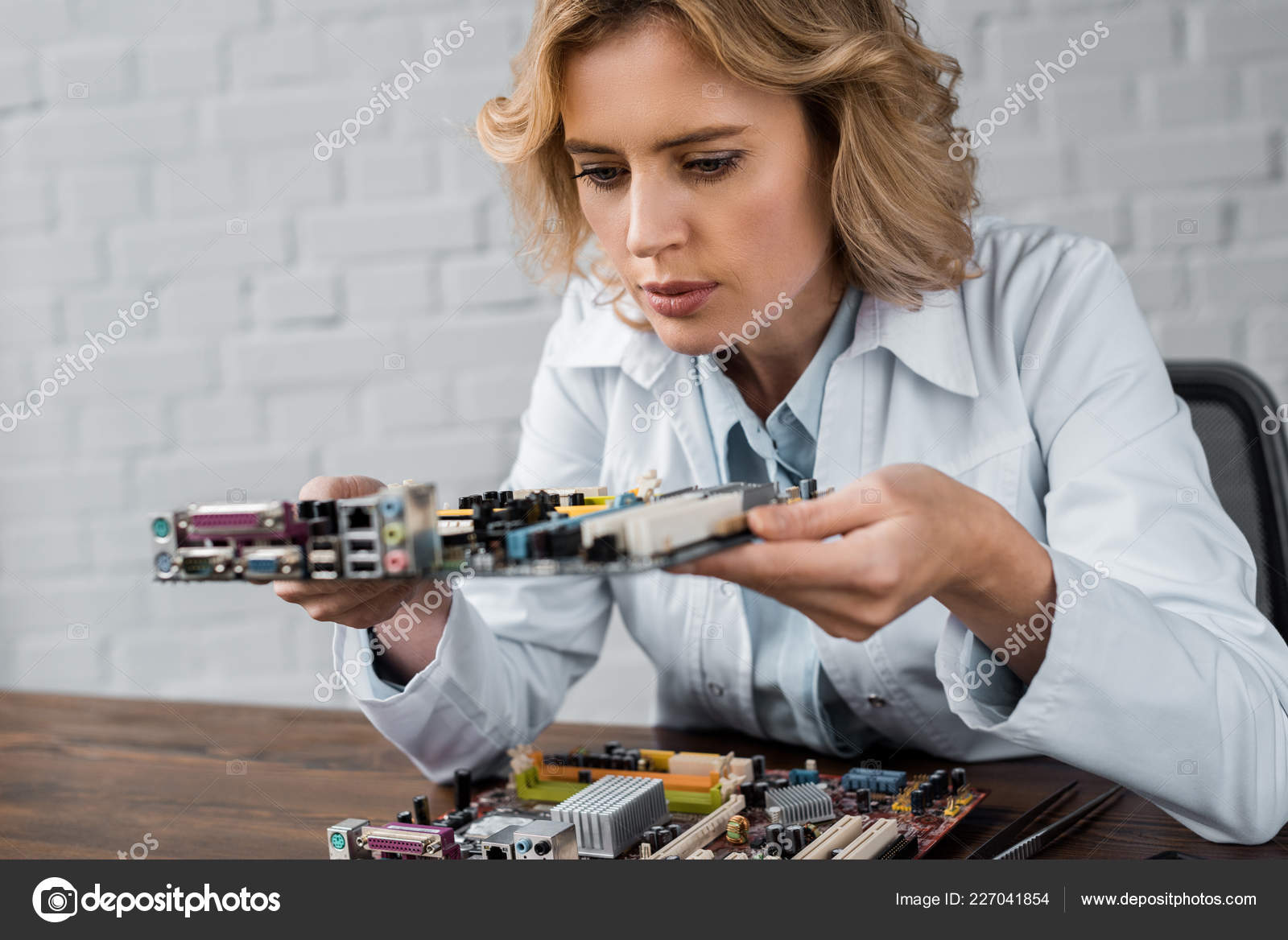 Concentrated Female Computer Engineer Holding Motherboard — Stock Photo ...