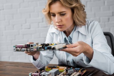 concentrated female computer engineer holding motherboard clipart