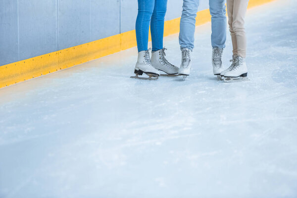 partial view of family in skates standing on ice rink