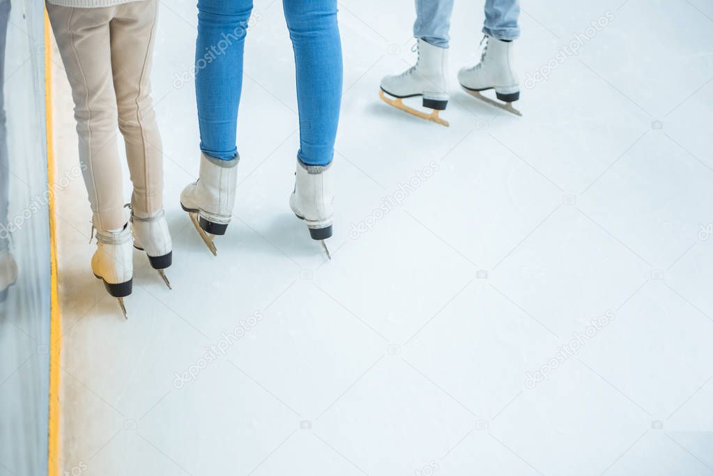 partial view of family in skates standing on ice rink