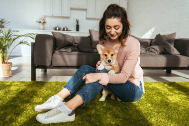 neşeli şirin Galce corgi pembroke evde kadınla