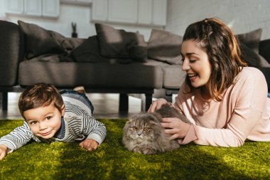 sevimli çocuk ve annesi evde katta İngiliz longhair kedi ile oynarken