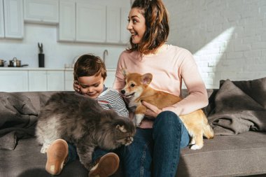 neşeli anne ve kedi ve köpek evde oturma odasında kanepede oturan oğlu