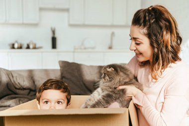 mutlu kadın koyarak İngiliz longhair kedi evde küçük oğluyla karton kutu içine