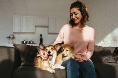 Galce corgi köpek vasıl ev ile kanepede oturan güzel gülümseyen kadın