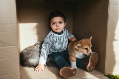 Çocuk dostu köpek ve kedi karton kutunun içinde oturan ile 